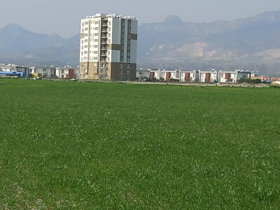 Demirhan yatırıma uygun arazi Fasıl 96-4