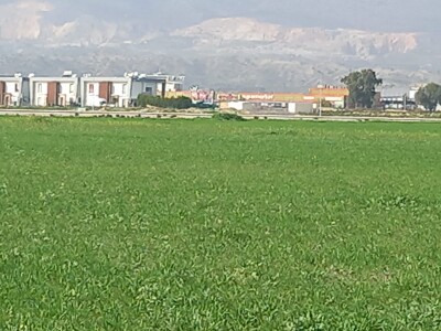 Demirhan yatırıma uygun arazi Fasıl 96-3